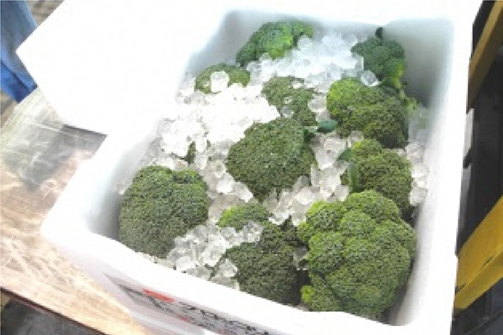 ブロッコリーサブ画像