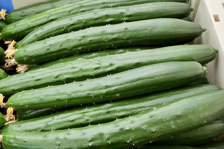 きゅうりサブ画像
